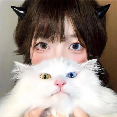 白痴5和哭喊的夫人