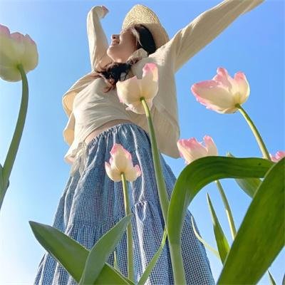 科西嘉岛的夏天