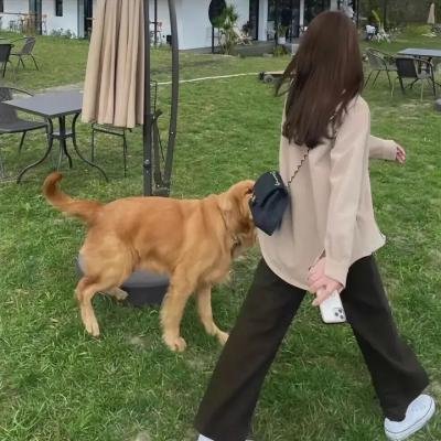 一级恐惧
